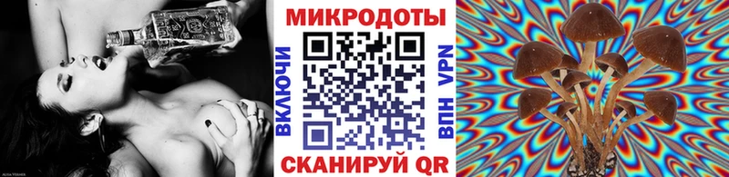 наркотики  Вихоревка  Псилоцибиновые грибы Psilocybe 